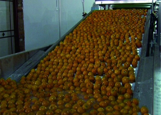 چین خط تولید هوشمند خط تولید میوه های سبز تامین کننده