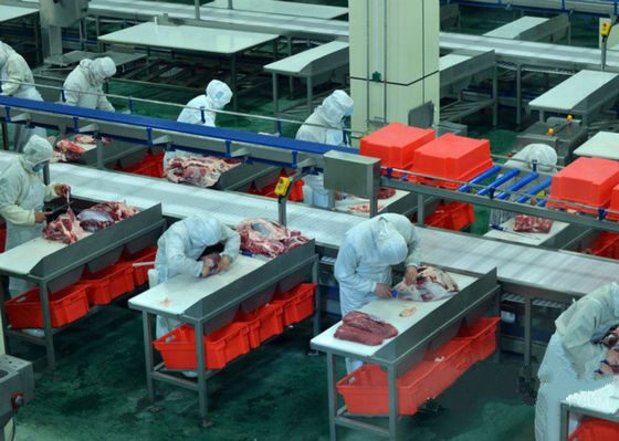 چین گوشت گاو شکسته گوشت تولید خط / خط پردازش 100-300 گاو در ساعت سرعت سرعت تامین کننده