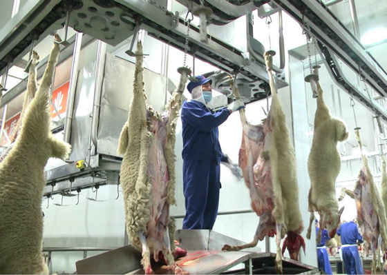 چین خط تولید گوشت بره گوسفند، پردازش بیشتر خط تولید صنعتی تامین کننده
