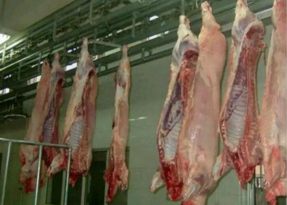 چین خط تولید گوشت مرغ اسپلیت گوشت خوار تجهیزات کشتارگاه PLC سیستم کنترل تامین کننده