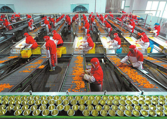 چین فنجان پلاستیکی خط تولید مواد غذایی کنسرو شده، تجهیزات پردازش میوه و سبزیجات تامین کننده