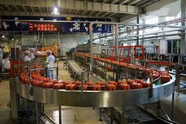 چین نوشیدنی خط تولید اتوماتیک میوه / سبزیجات برای مخلوط آب میوه تامین کننده