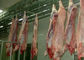خط تولید گوشت مرغ اسپلیت گوشت خوار تجهیزات کشتارگاه PLC سیستم کنترل تامین کننده