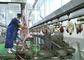 گوشت گوسفند تقسیم گوشت تولید خط کشتار حمل و نقل تمام نوع پردازش تامین کننده